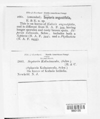 Image Associated With the Occurence